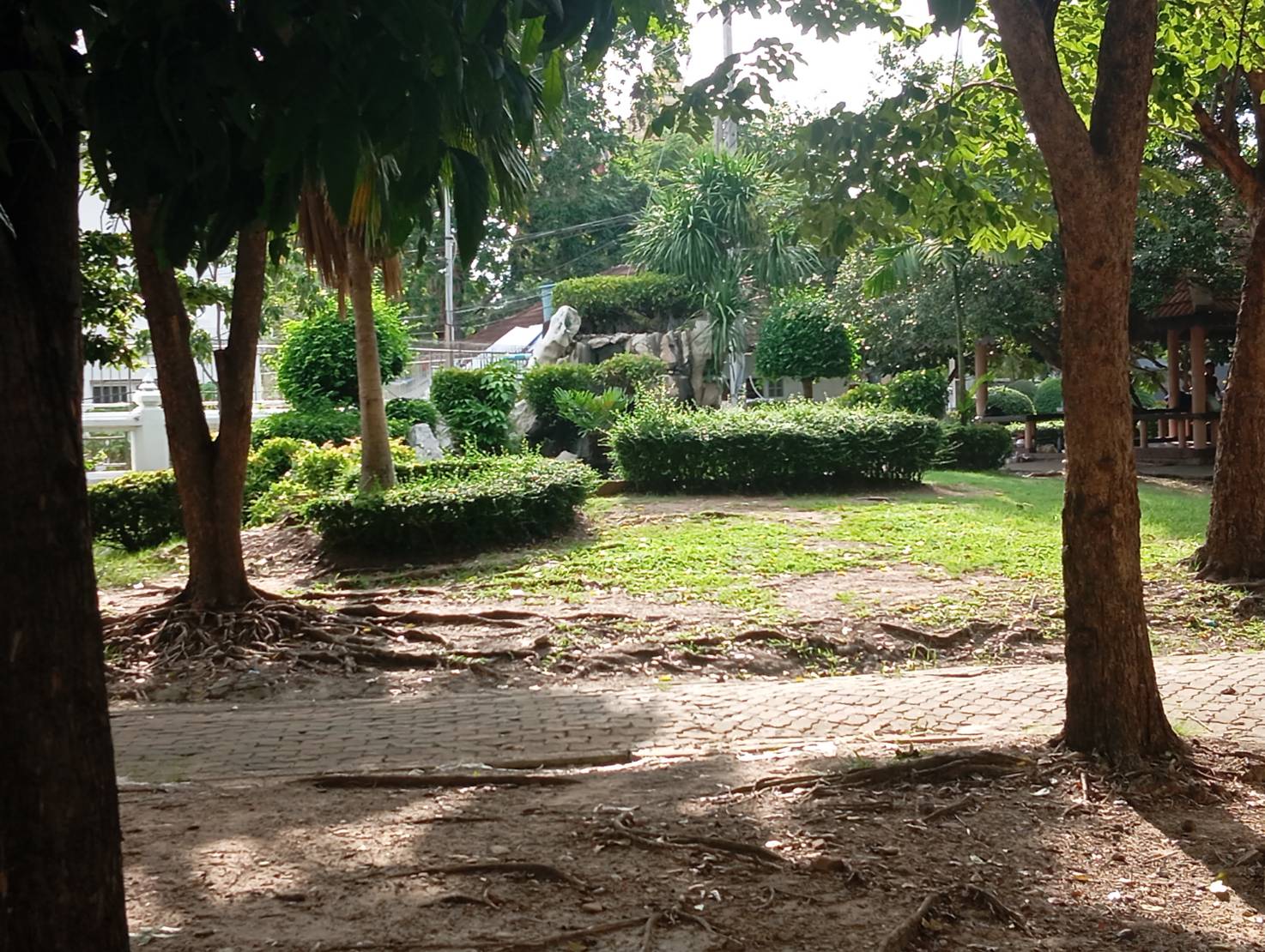 สวนสาธารณะ - รูปที่ 5